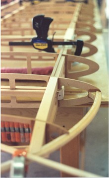 Long shot of leading edge with the routed ribs. Again, not Yellow Bird.